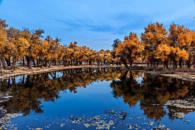 科隆：《装甲核心6》全新预告片 战斗场景震撼